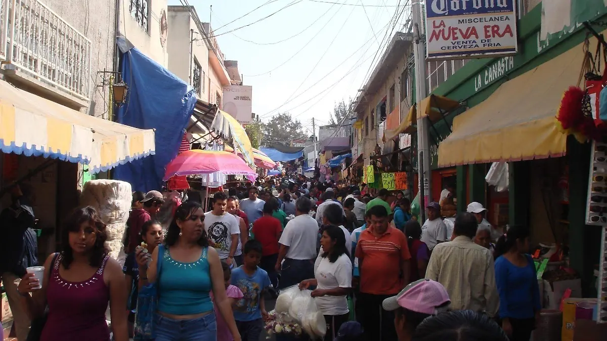 2.Mercado del Tepe. 2014